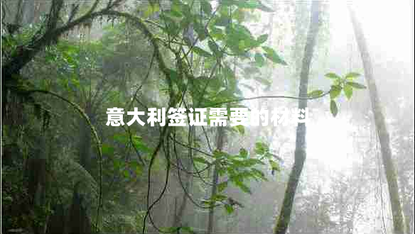 意大利簽證需要的材料 意大利簽證需要的材料