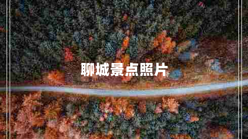 聊城景點照片