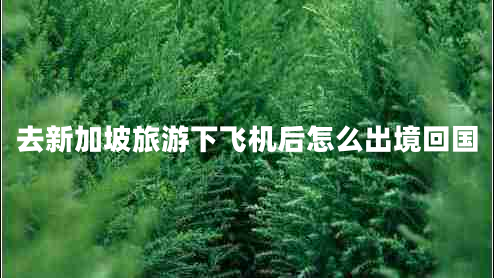 去新加坡旅游下飛機后怎么出境回國
