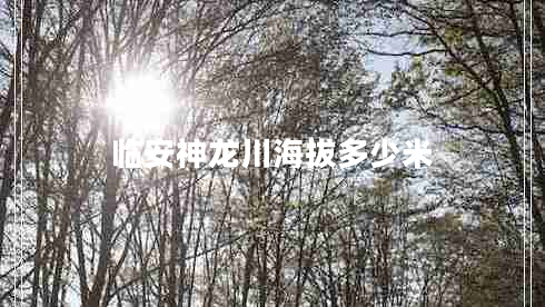 臨安神龍川海拔多少米