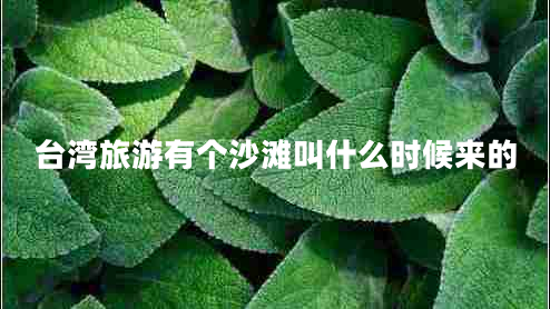 臺(tái)灣旅游有個(gè)沙灘叫什么時(shí)候來(lái)的