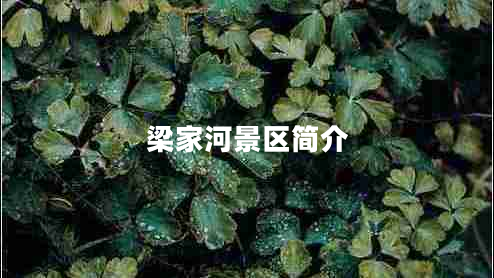 梁家河景區(qū)簡(jiǎn)介