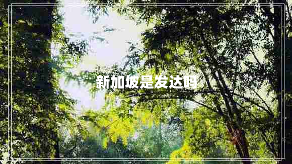 新加坡是發(fā)達嗎