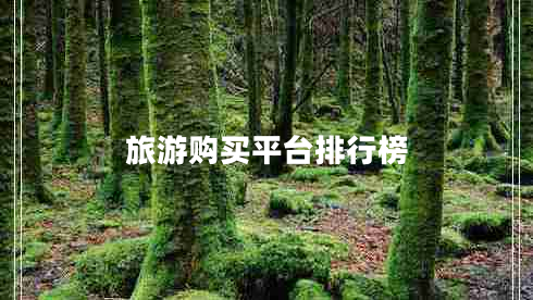 旅游購(gòu)買(mǎi)平臺(tái)排行榜 旅游購(gòu)買(mǎi)平臺(tái)排行榜
