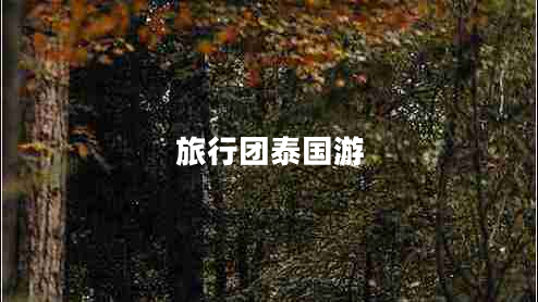 旅行團(tuán)泰國(guó)游