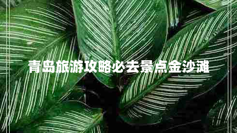 青島旅游攻略必去景點(diǎn)金沙灘