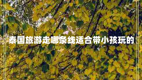 泰國(guó)旅游走哪條線適合帶小孩玩的