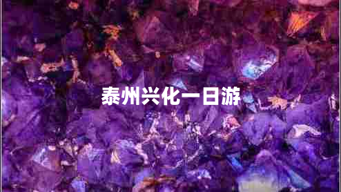 泰州興化一日游 泰州興化一日游