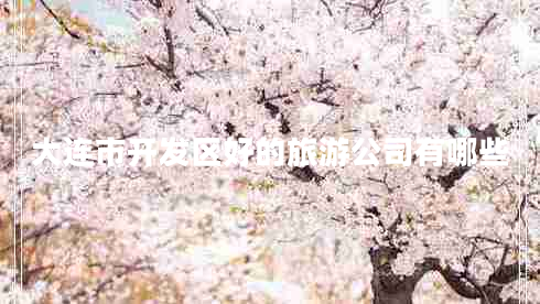 大連市開(kāi)發(fā)區(qū)好的旅游公司有哪些
