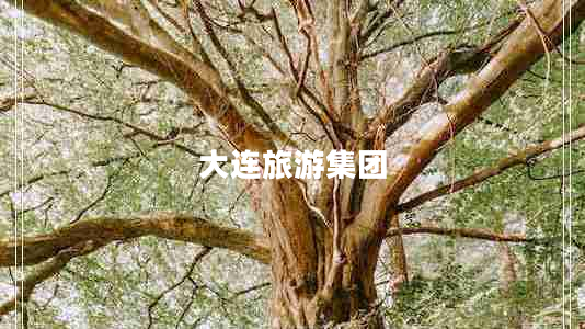 大連旅游集團(tuán) 大連旅游集團(tuán)