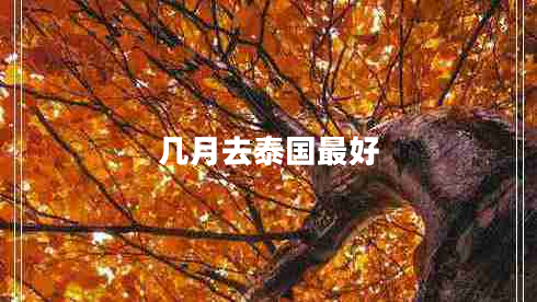 幾月去泰國最好