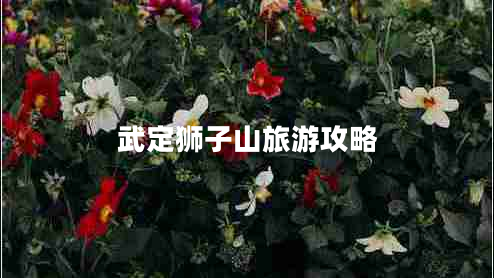 武定獅子山旅游攻略