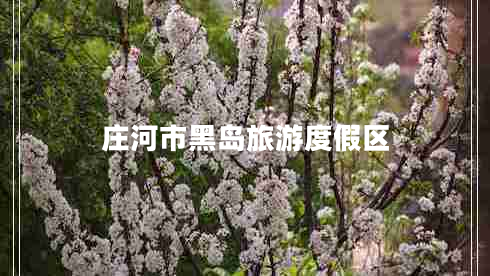 莊河市黑島旅游度假區(qū)