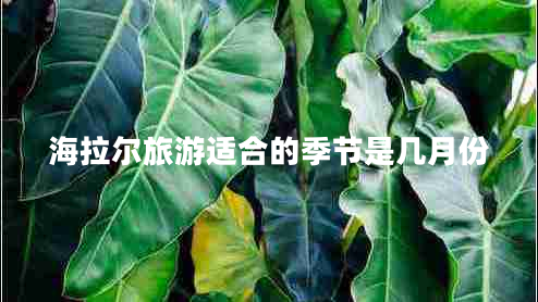 海拉爾旅游適合的季節(jié)是幾月份