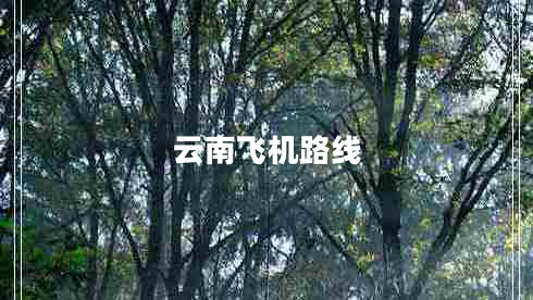 云南飛機路線