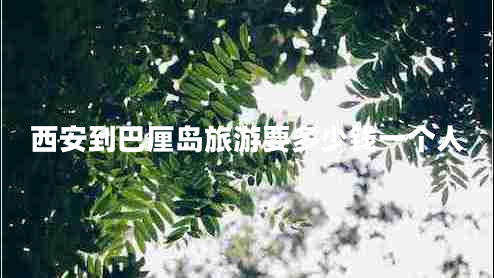 西安到巴厘島旅游要多少錢一個人