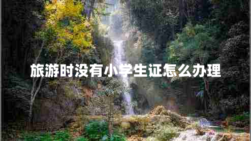 旅游時沒有小學生證怎么辦理