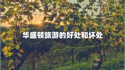 華盛頓旅游的好處和壞處 華盛頓旅游的好處和壞處