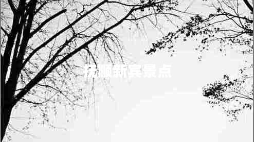 撫順新賓景點 撫順新賓景點