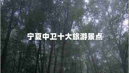 寧夏中衛(wèi)十大旅游景點(diǎn)