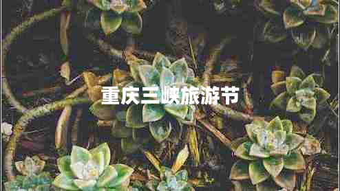 重慶三峽旅游節(jié)