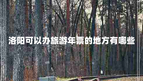 洛陽可以辦旅游年票的地方有哪些 洛陽可以辦旅游年票的地方有哪些