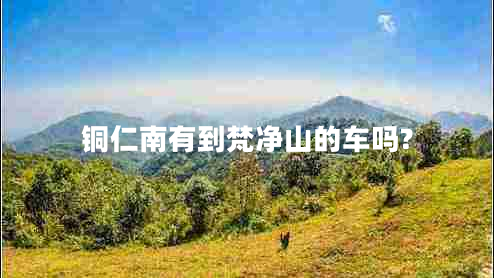 銅仁南有到梵凈山的車嗎?