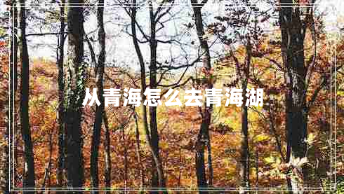 從青海怎么去青海湖 從青海怎么去青海湖