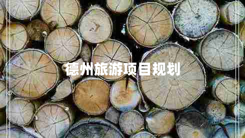 德州旅游項目規(guī)劃 德州旅游項目規(guī)劃