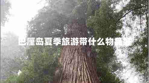 巴厘島夏季旅游帶什么物品好 巴厘島夏季旅游帶什么物品好