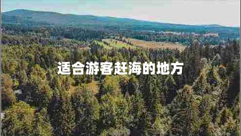 適合游客趕海的地方