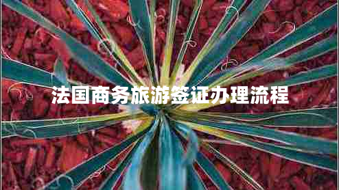 法國商務(wù)旅游簽證辦理流程