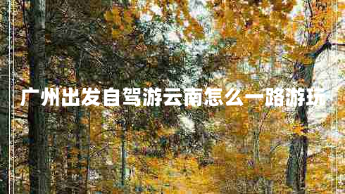 廣州出發(fā)自駕游云南怎么一路游玩