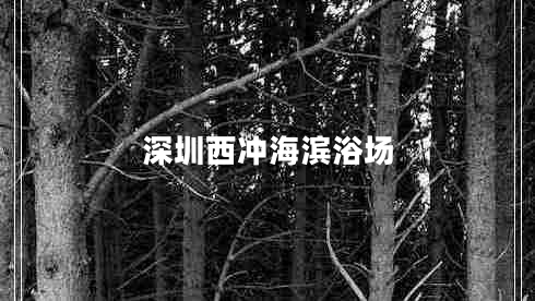 深圳西沖海濱浴場(chǎng)