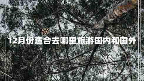 12月份適合去哪里旅游國內和國外