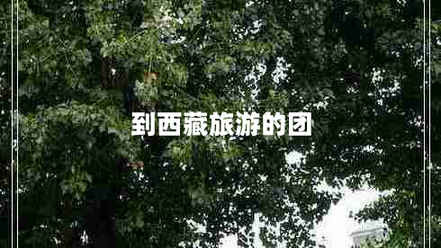 到西藏旅游的團(tuán)