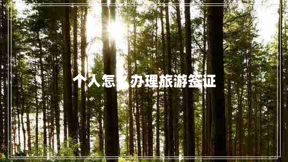 個人怎么辦理旅游簽證
