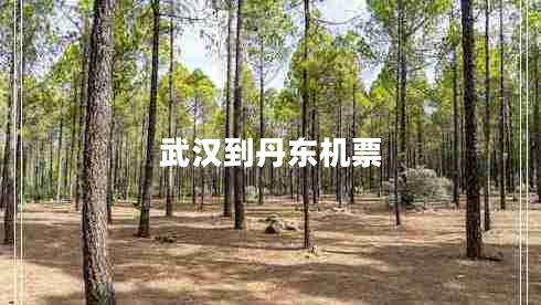 武漢到丹東機(jī)票