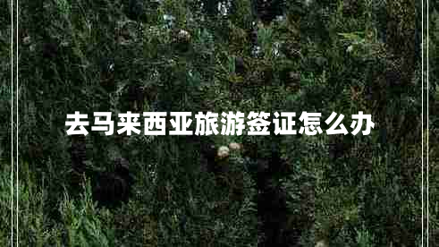 去馬來西亞旅游簽證怎么辦 去馬來西亞旅游簽證怎么辦