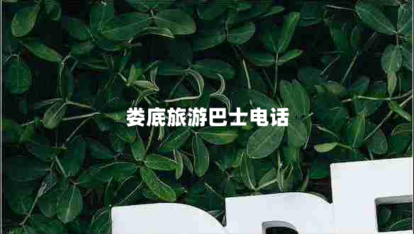 婁底旅游巴士電話