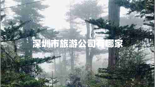 深圳市旅游公司有哪家 深圳市旅游公司有哪家