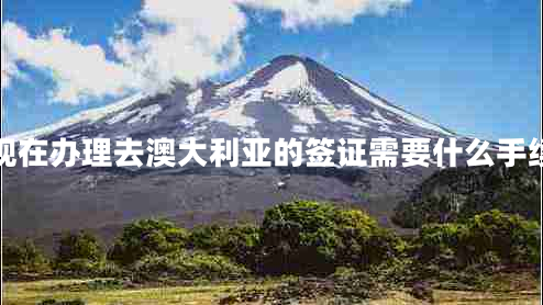 現(xiàn)在辦理去澳大利亞的簽證需要什么手續(xù)