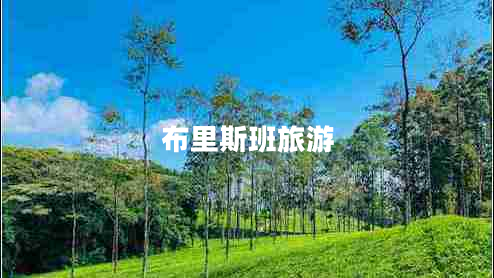 布里斯班旅游 布里斯班旅游