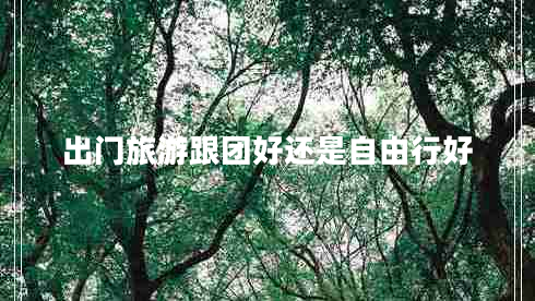 出門旅游跟團(tuán)好還是自由行好