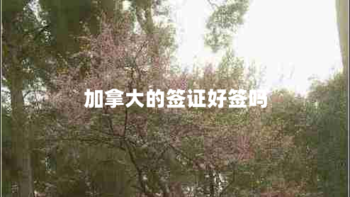 加拿大的簽證好簽嗎 加拿大的簽證好簽嗎