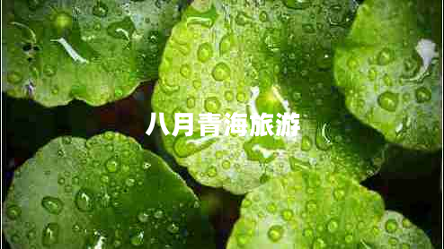 八月青海旅游 八月青海旅游