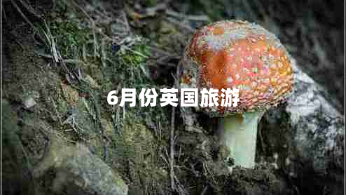 6月份英國(guó)旅游