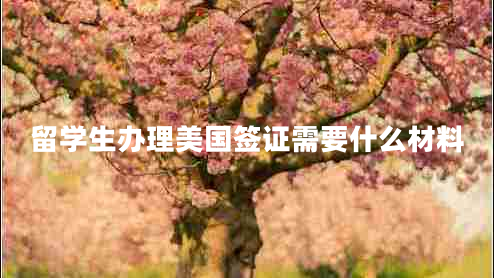 留學(xué)生辦理美國簽證需要什么材料