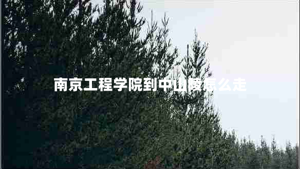 南京工程學(xué)院到中山陵怎么走