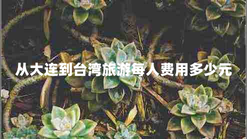 從大連到臺灣旅游每人費用多少元 從大連到臺灣旅游每人費用多少元